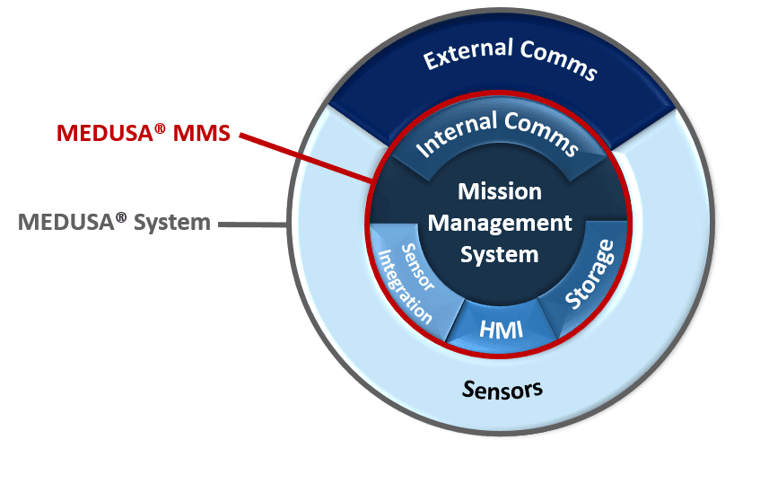 MEDUSA® system structure diagram